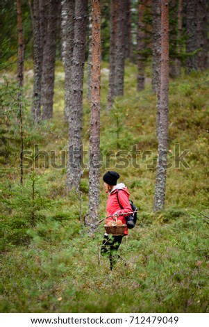young woman in red jacket enjoying nature in sunny forest. gathering food for winter mushrooms. Latvia