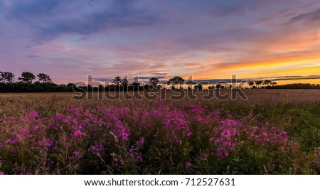 Beautiful spectacular sunset sky over meadows and fields with flowers. Sunset sky over landscape.