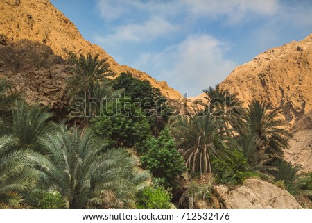 Palm trees and the mountains with blue cloudy sky
