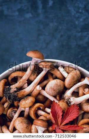 A lot of young, raw mushrooms in a plate Serving on a dark table Stone background Concept of recipes Wine Copy Space Vertical