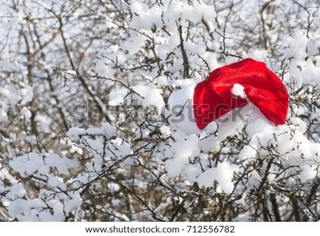 Santa red hat on snowy branch. Christmas landscape with santa claus cap. xmas and new year. Winter forest with white snow on trees. Holidays celebration concept.