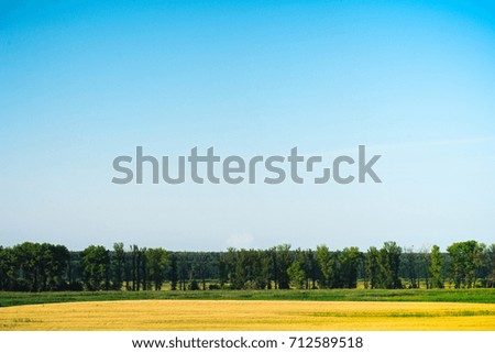 Summer blue sky. Nature landscape. Meadow with green grass, plants. Sunny spring scene.Rural outdoor countryside beautiful agriculture background with pasture, lawn, clouds.