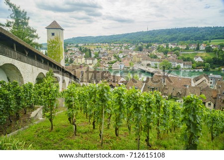 Aerial view of vineyard and beautiful scenic around Munot, Schaffhausen, Switzerland