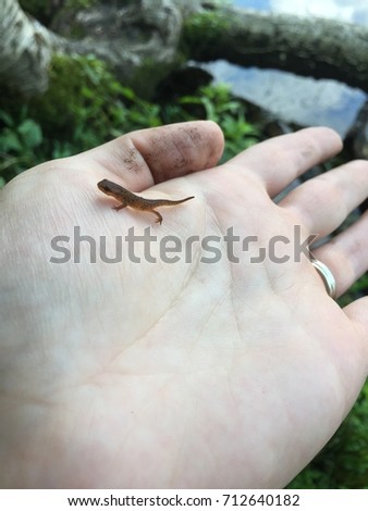 Dirty hand holding baby newt outside.
