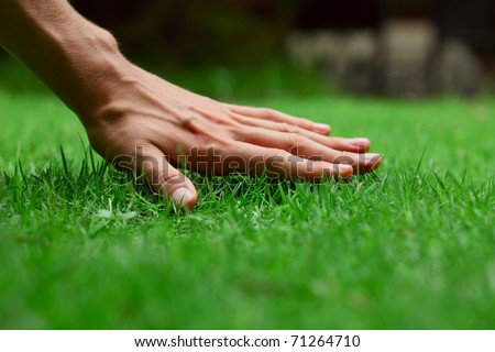 Hand on green lush grass Royalty-Free Stock Photo #71264710