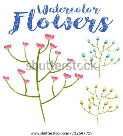 Watercolor painting of colorful flowers illustration
