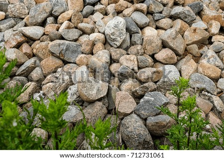 beach of large pebbles