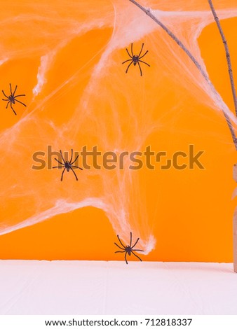 spiders, cobwebs concept for Halloween, copy space background, space for your items, orange