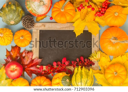 orange pumpkins harvest with fall leaves and berries on blue table, copy space on blackboard