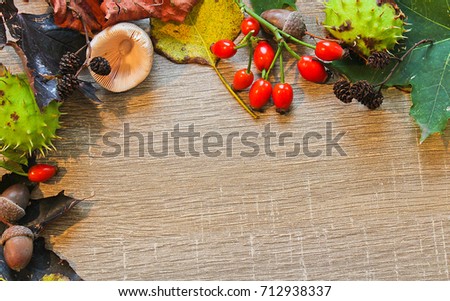 Autumn still life mushroom, acorn, chestnut, leaves on wood background
