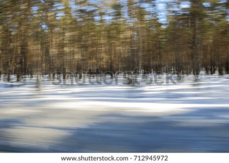 The winter forest. Motion background