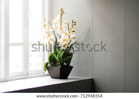 Orchid house decoration