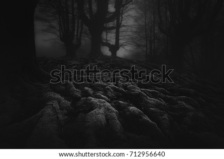Dark and scary forest with roots
