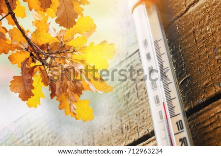 Thermometer on the old wooden wall, and autumn leaves, the concept of cool autumn weather Royalty-Free Stock Photo #712963234