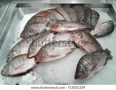 Selling fish in the market on white background In the supermarket. food