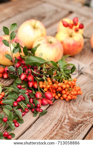 Autumn fruit: apples, rose hips and rowan