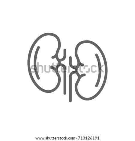 Simple kidneys line icon. Symbol and sign vector illustration design. Editable Stroke. Isolated on white background Royalty-Free Stock Photo #713126191