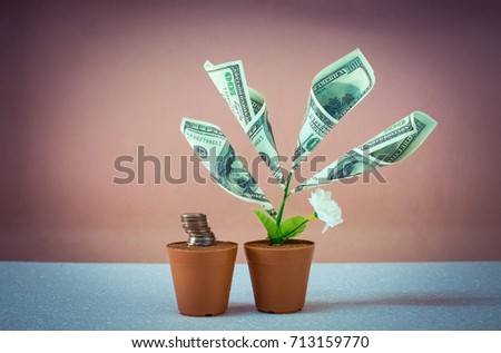 money tree made of hundred dollar bills.