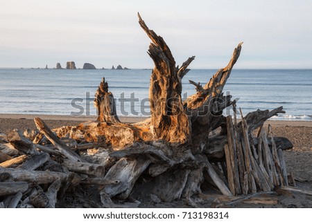 Beautiful landscape view of the Pacific Ocean Coast. Picture taken in La Push, Washington, United States of America, during an early sunny summer morning.
