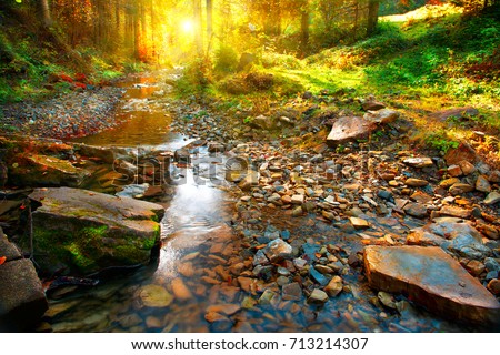 Beautiful autumn landscape, Mountain River, forest landscape. Tranquil waterfall scenery in the middle of green forest on sunset