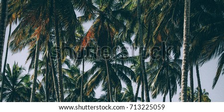 Palm tree vintage effect background