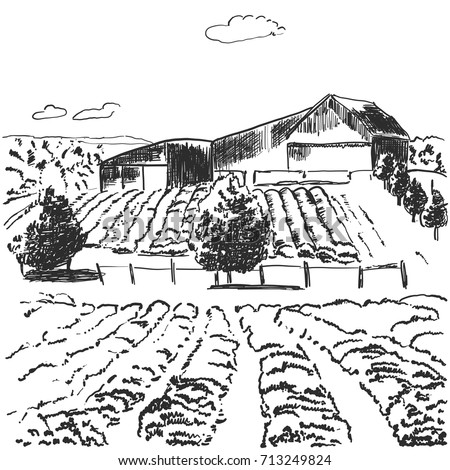 Vector image. Landscape with fields and house