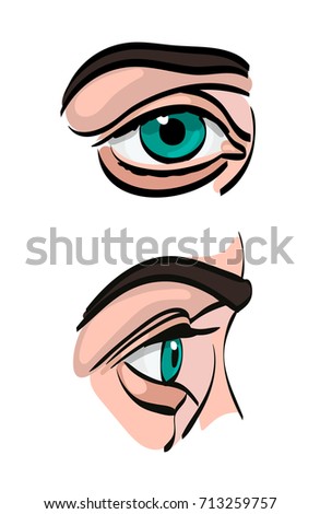 Human eye. Vector illustration. Front and side. Isolated on white. Green eye pupil.