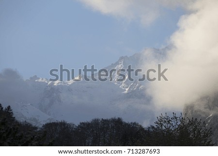 Landscape in Wilderswil Junfrau region Berner Oberland Switzerland