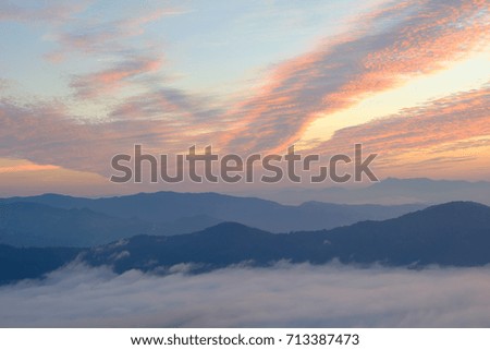 Fog Landscape, Sunrise mornings landscape, Chiang Mai Thailand