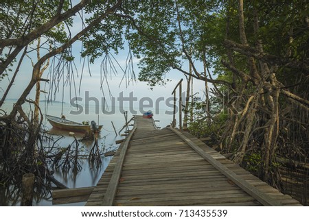wooden jetty leading to the seascape
