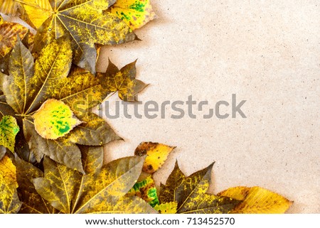 Autumn leaves ornate border on paper with free copy space