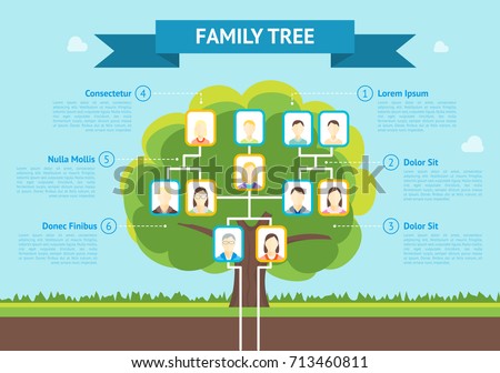 Cartoon Green Family Tree with Photo Concept of Genealogical History Infographic Card Poster Flat Design Style. Vector illustration