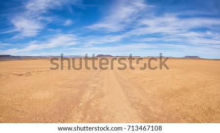 A dirt track leads through Northern Cape desert landscape, Southern Africa