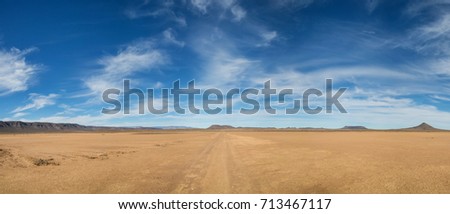 A dirt track leads through Northern Cape desert landscape, Southern Africa