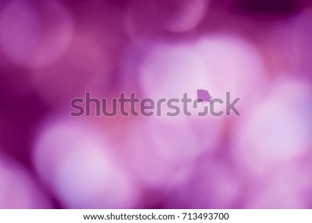 The purple background Bokeh from natural light.