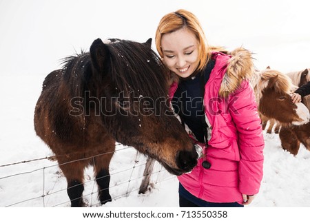 Iceland real horse during winter snow