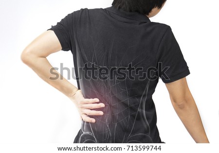 spine muscle  injury 