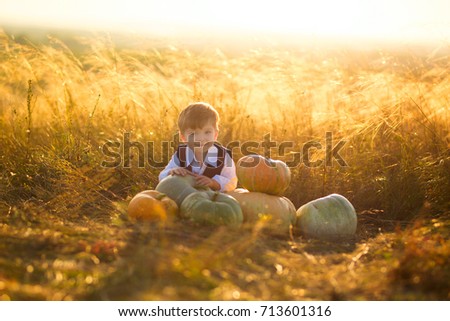 Cute boy enjoying autumn time. Little boy with pumpkins for Halloween over sunset or sunrise background.