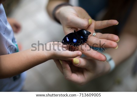 Woman and child are holding a real butterfly. Concept early childhood education Royalty-Free Stock Photo #713609005
