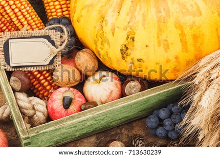 Tray with pumpkin and different ripe vegetables inside, top view