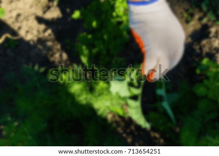 The concept of gardening blurred abstract background