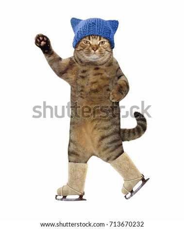 The cat in knitted hat is skating. White background.