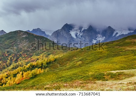 Autumn landscape and snowy mountain peaks. Birch forest in sunlight. Main Caucasian Ridge. Mountain View from Mount Ushba Mheyer, Georgia. Europe.