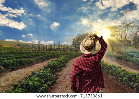 Farmer working on coffee field at sunset outdoor  Royalty-Free Stock Photo #713730661