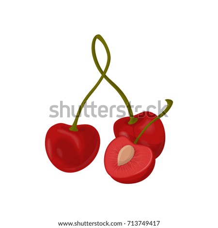 Isolated cherry berries on white background. Sweet and sour berry.