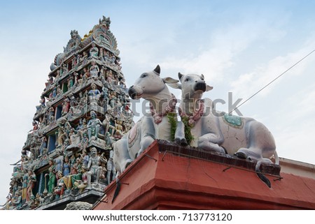  Sculpture, architecture and symbols of Indian Temple                              