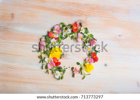 Mixed Microgreens on wooden background.  Healthy eating concept of fresh garden produce organically grown as a symbol of health and vitamins from nature. Microgreens closeup.