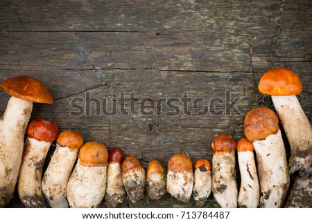 A Row of Mushrooms on a Wooden Background. Autumn Concept