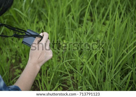 Woman taking Fresh green grass with water drops photos by her digital camera in garden    