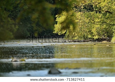 Morning scene . The river in the valley Royalty-Free Stock Photo #713827411